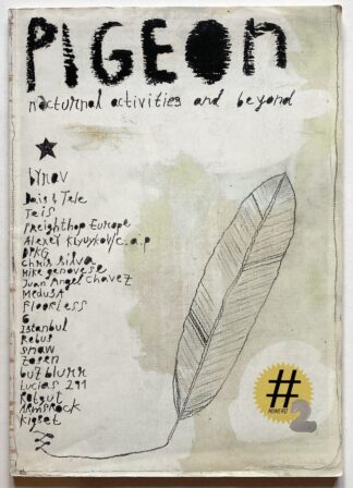 Pigeon #2. Nocturnal activities and beyond.