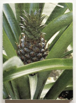 happity forever - tentativ metode til generering af nye skulpturer.