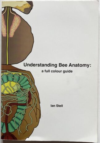 Understanding Bee Anatomy: a full colour guide.