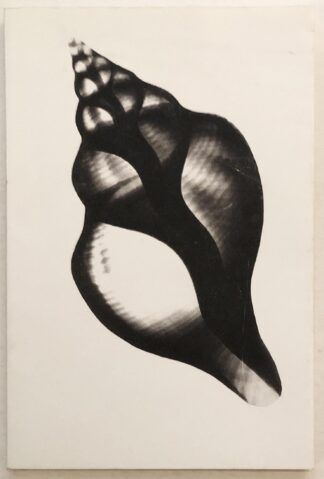 Mens jeg sover, glemmer jeg dig.