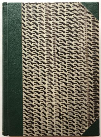 Et nyt verdensbillede.