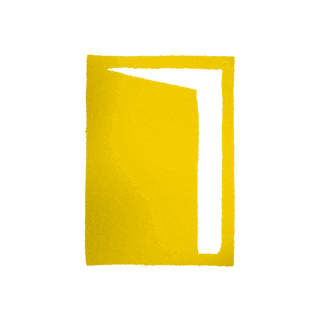 SJÆLDNE BØGER, FØRSTEUDGAVER & BOGBIND