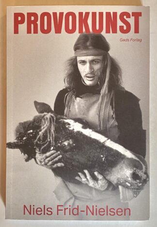Provokunst.