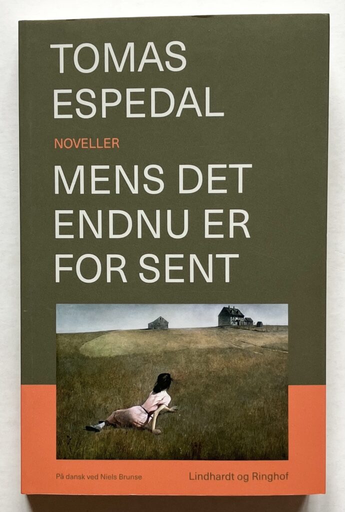 Mens det endnu er for sent.