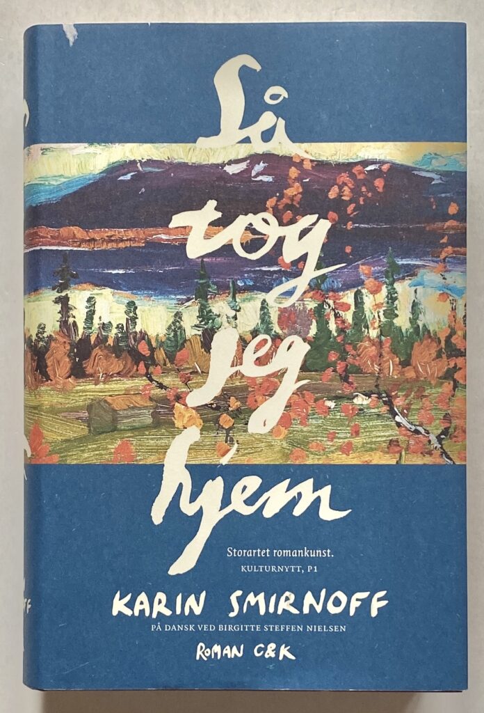 Så tog jeg hjem.
