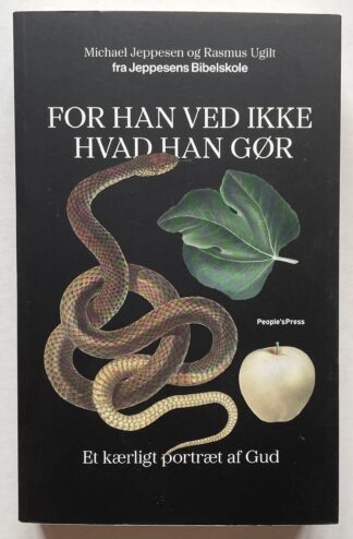 For han ved ikke hvad han gør. Et kærligt portræt af Gud.
