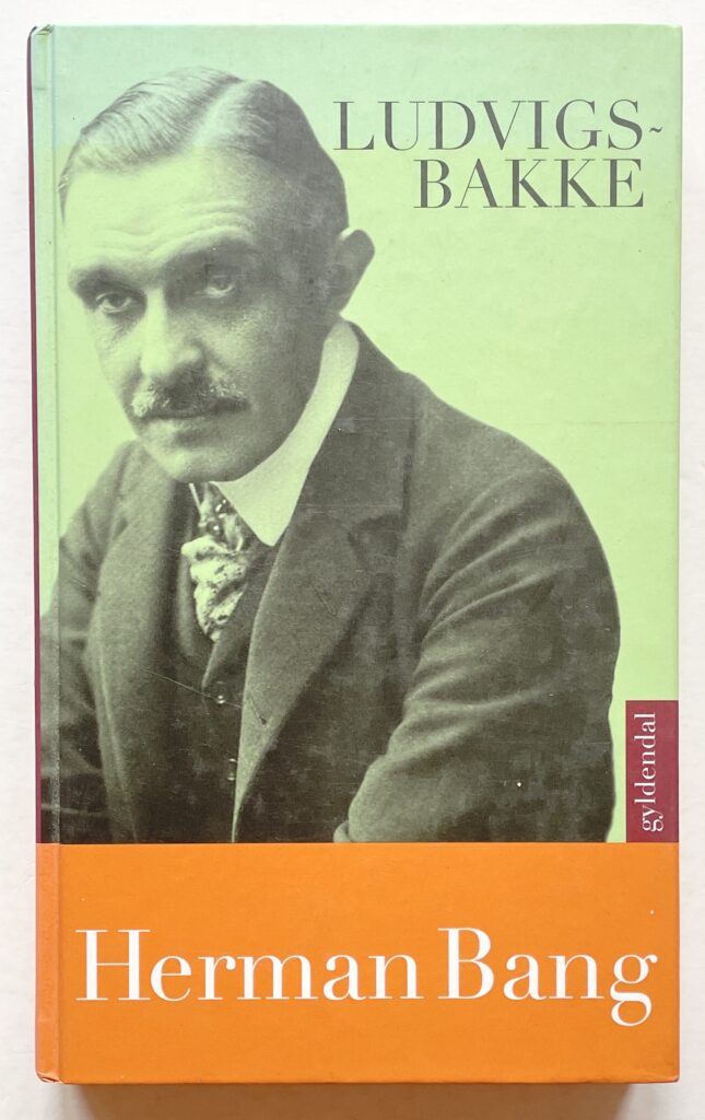 Ludvigsbakke.